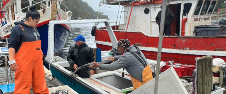 Fishers in Chile unloading their catch, two men throwing a fish out of the boat and a woman on shore collecting.